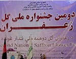 دومين جشنواره گل زعفران  در هرات برگزار شد